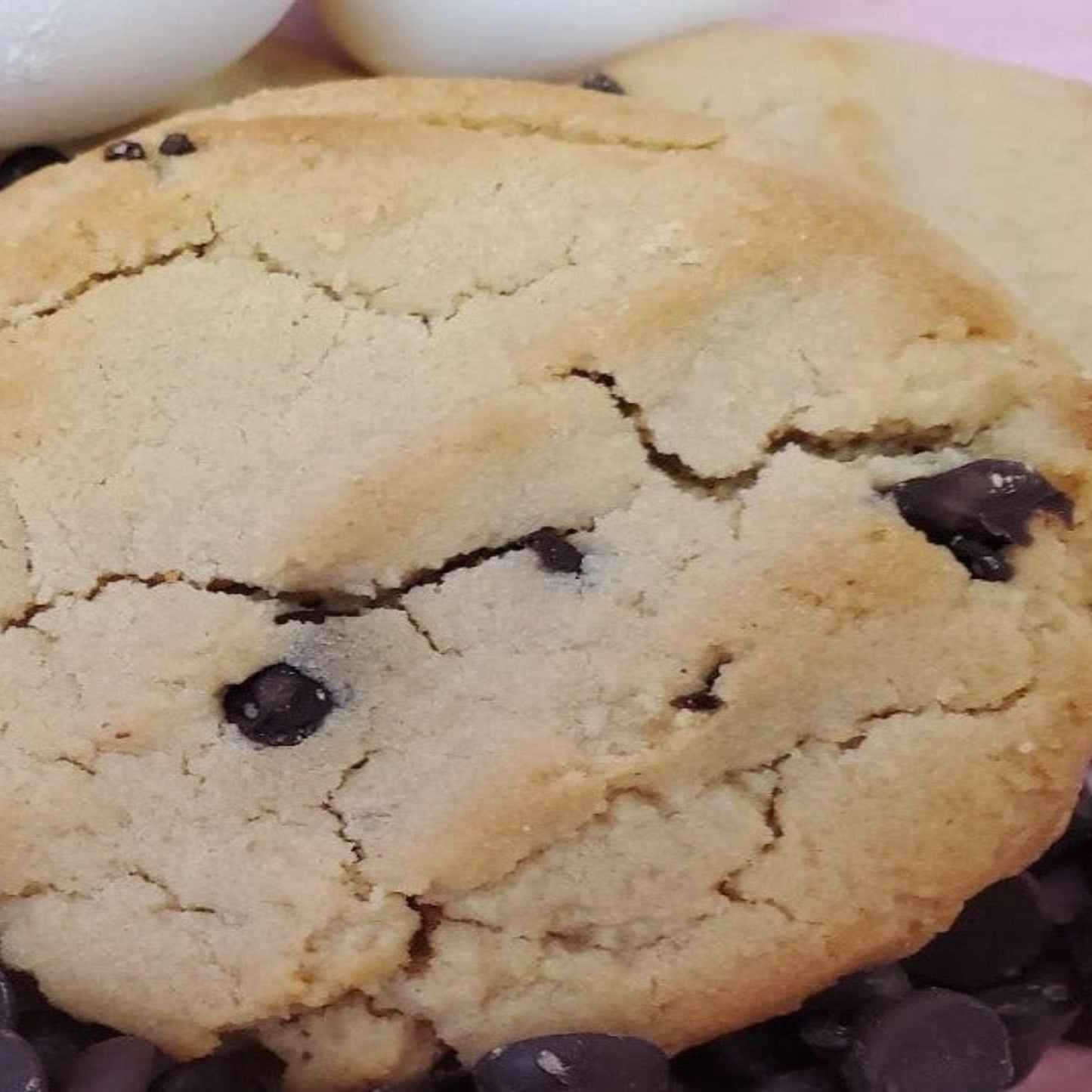 Peanut Butter Chocolate Chip Cookies